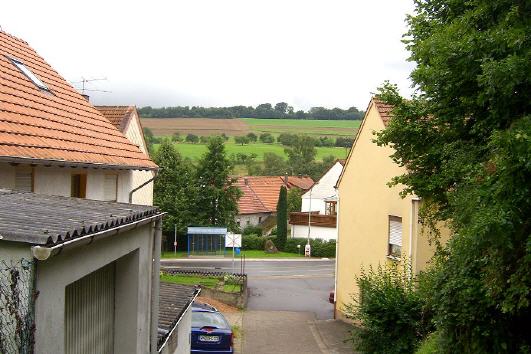 Blick auf die Buchen von Leitersweiler